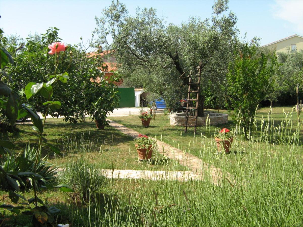 Apartmani Mirjana Umag Exteriér fotografie