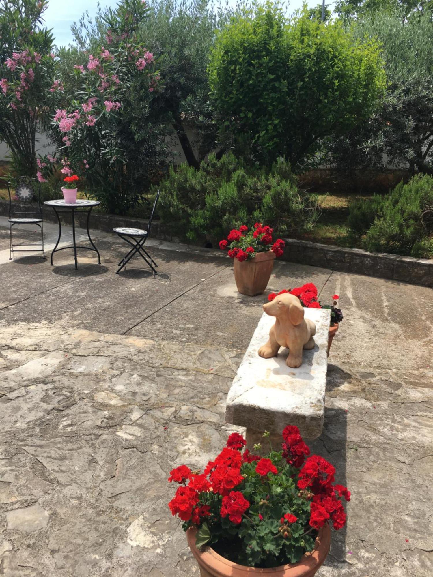 Apartmani Mirjana Umag Exteriér fotografie
