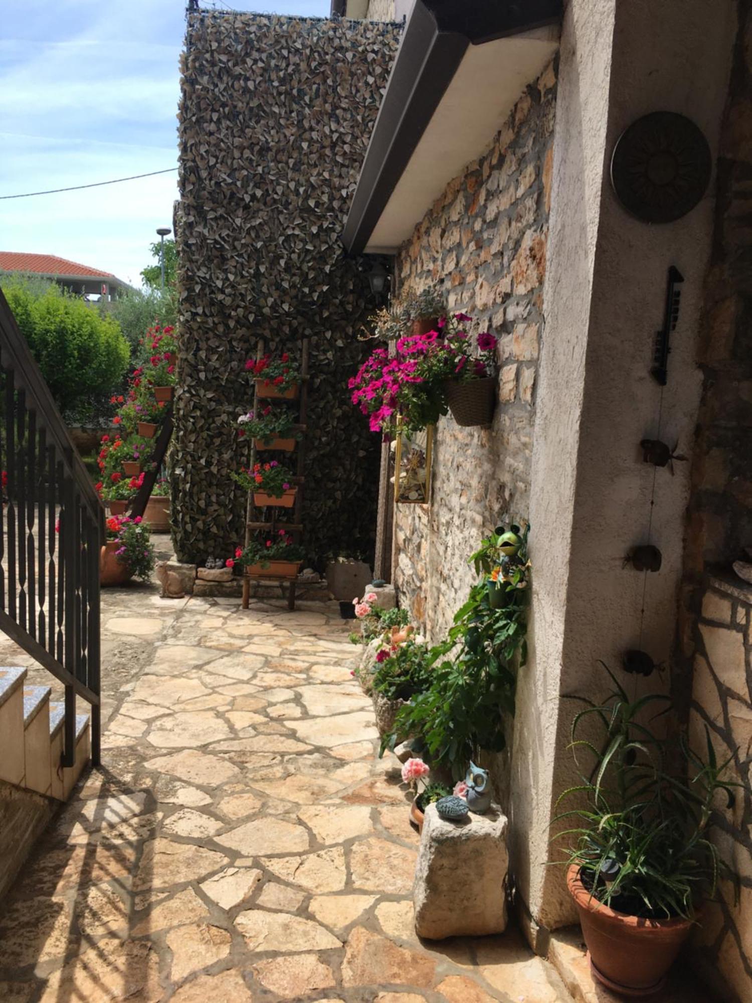 Apartmani Mirjana Umag Exteriér fotografie